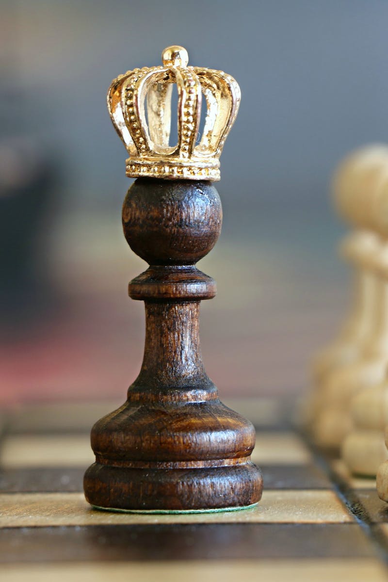 A brown pawn with a crown stands prominently on a chessboard, symbolizing strategic play.